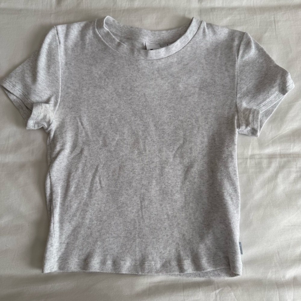 Aritzia Tna Homestretch Tee (light grey)